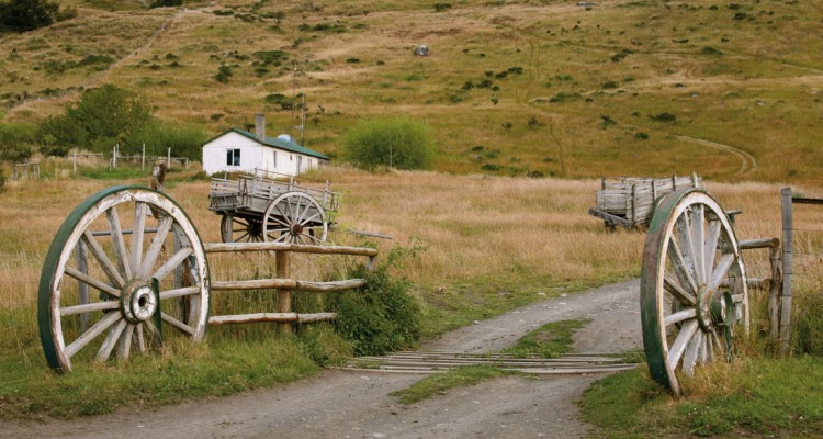 bg_image
