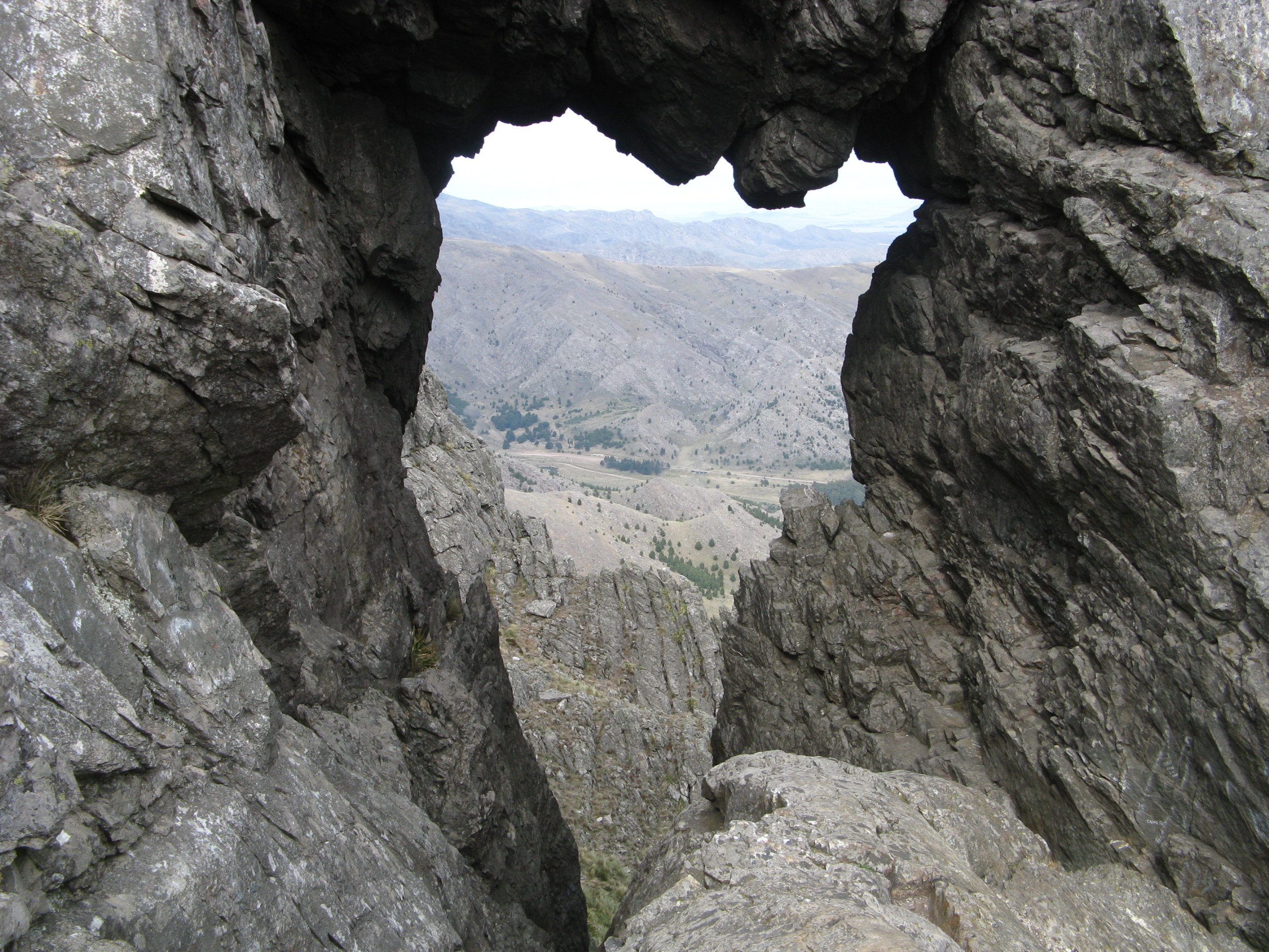 bg_image