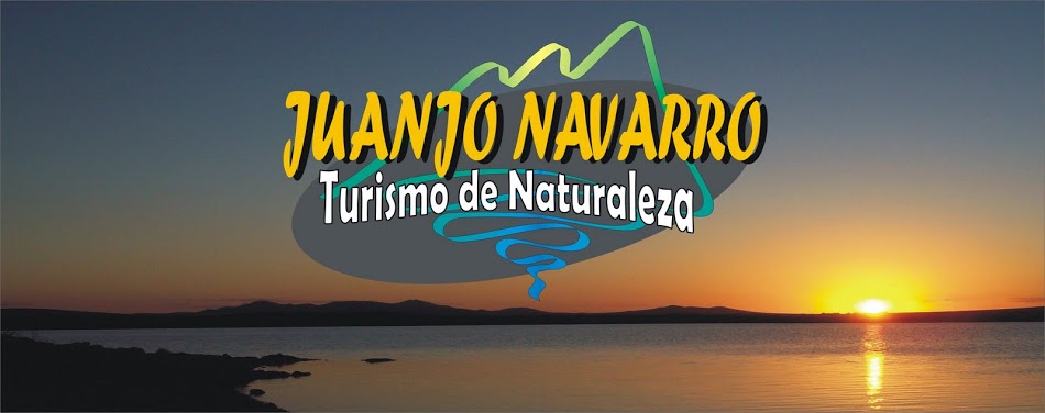 Tornquist Turismo