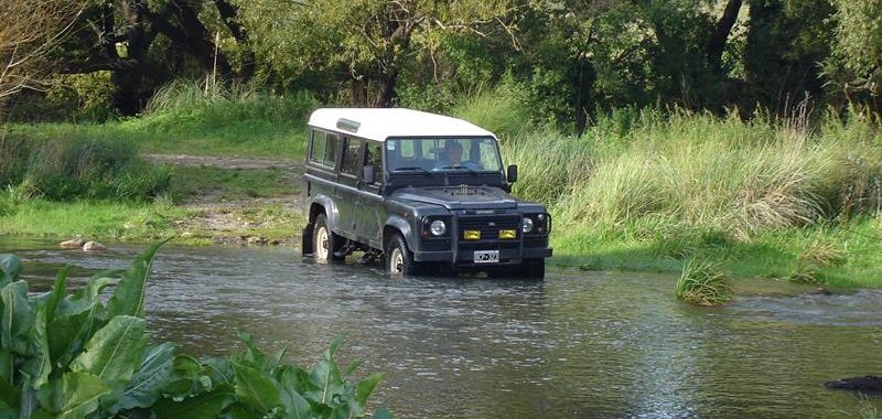 Tornquist Turismo